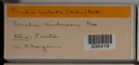 Image Associated With the Occurence